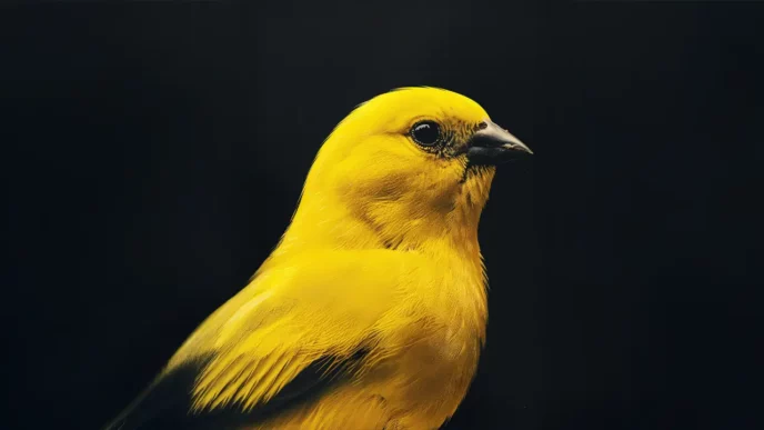 Le syndrome du canari jaune